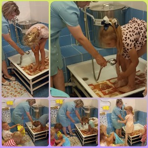 �����������