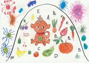 �����������