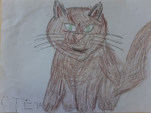 �����������