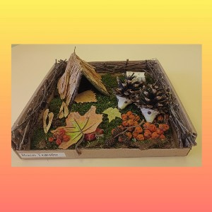 �����������