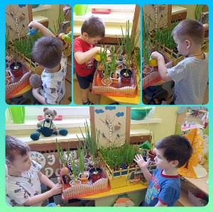 �����������