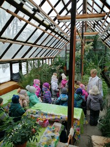 �����������