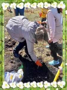 �����������