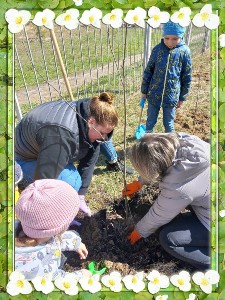 �����������