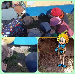 �����������